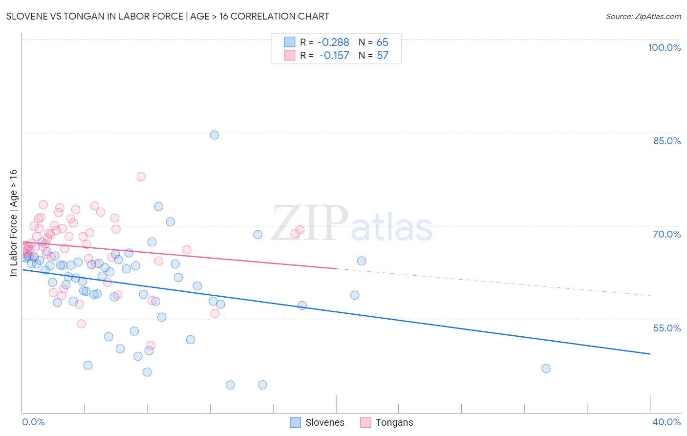 Slovene vs Tongan In Labor Force | Age > 16