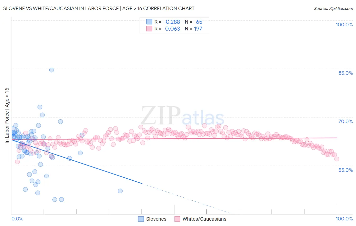 Slovene vs White/Caucasian In Labor Force | Age > 16