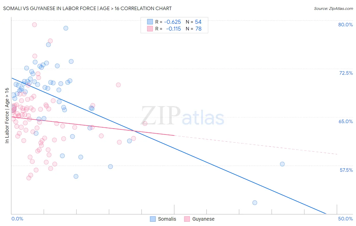 Somali vs Guyanese In Labor Force | Age > 16