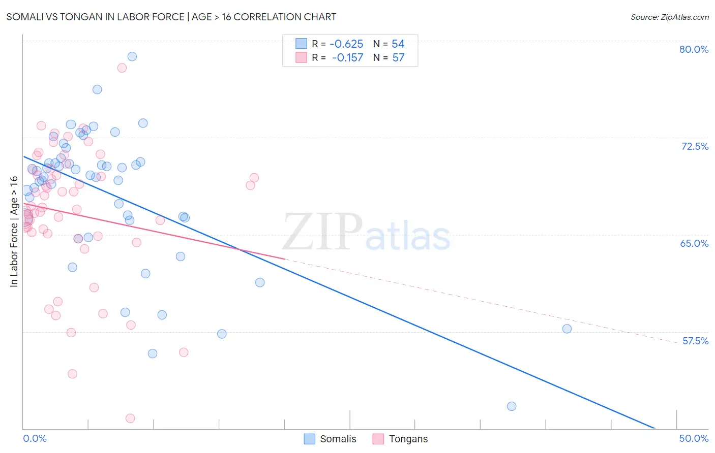 Somali vs Tongan In Labor Force | Age > 16