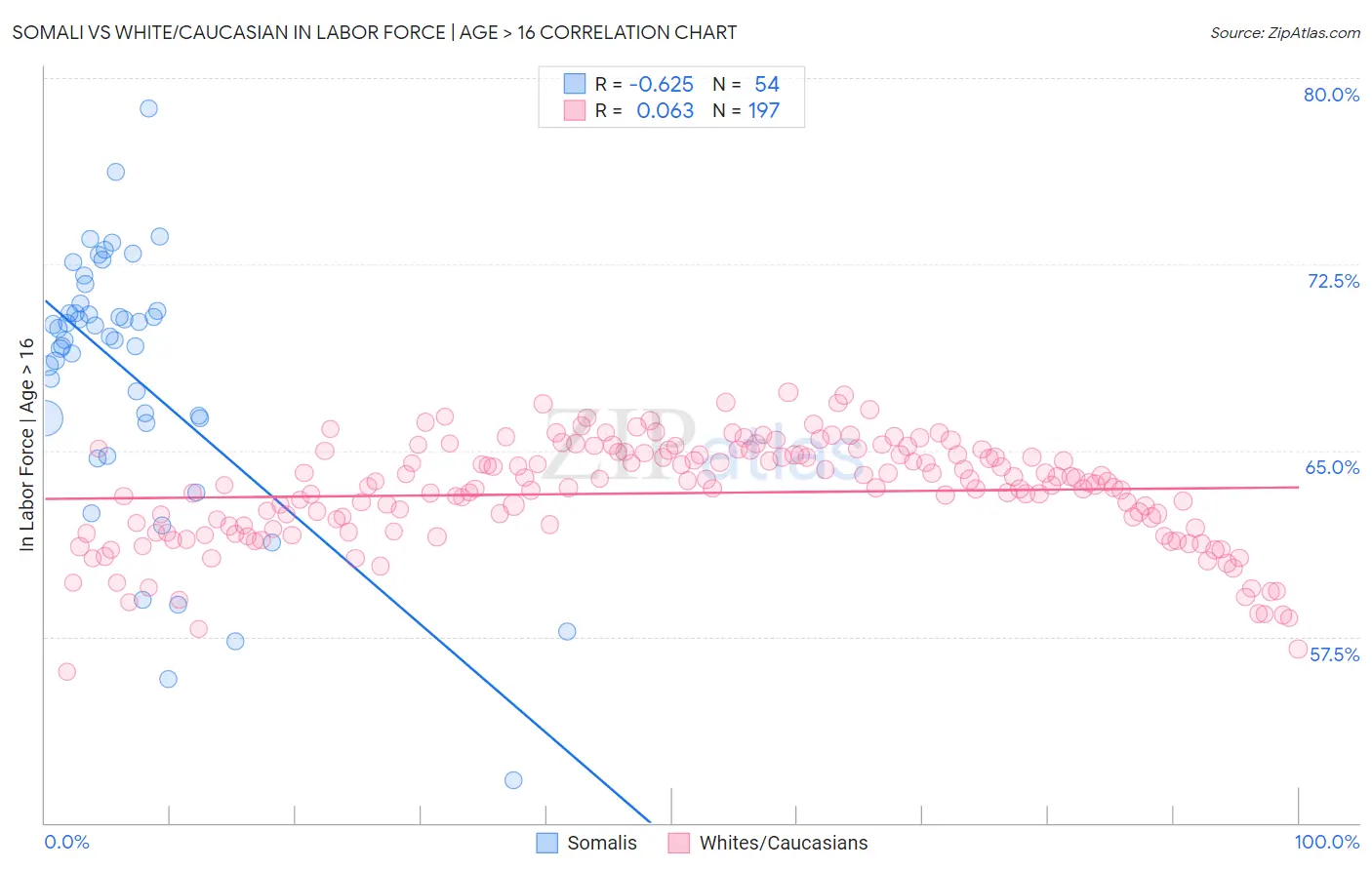 Somali vs White/Caucasian In Labor Force | Age > 16
