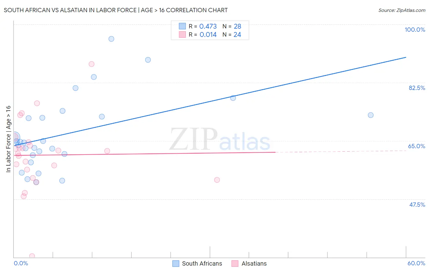 South African vs Alsatian In Labor Force | Age > 16