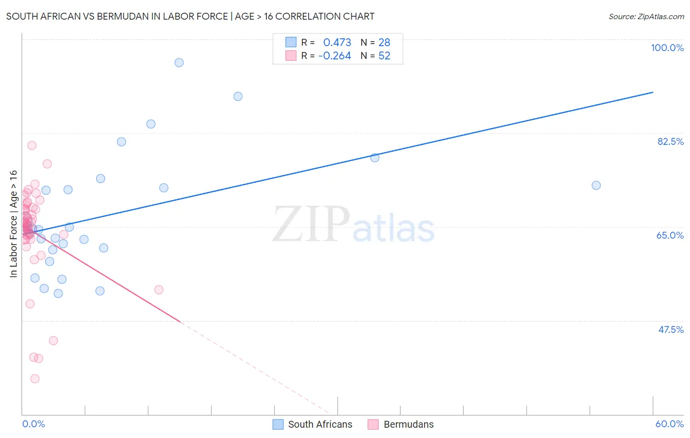 South African vs Bermudan In Labor Force | Age > 16