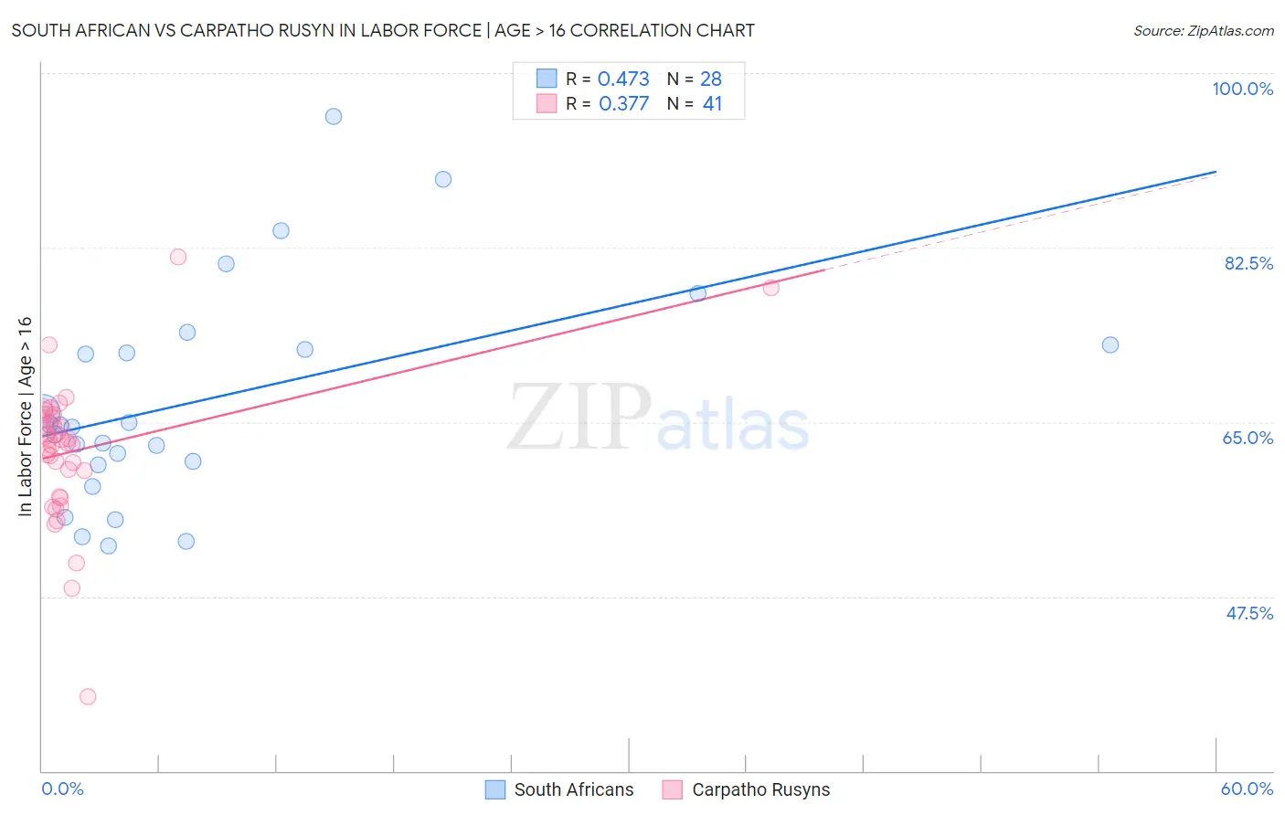 South African vs Carpatho Rusyn In Labor Force | Age > 16