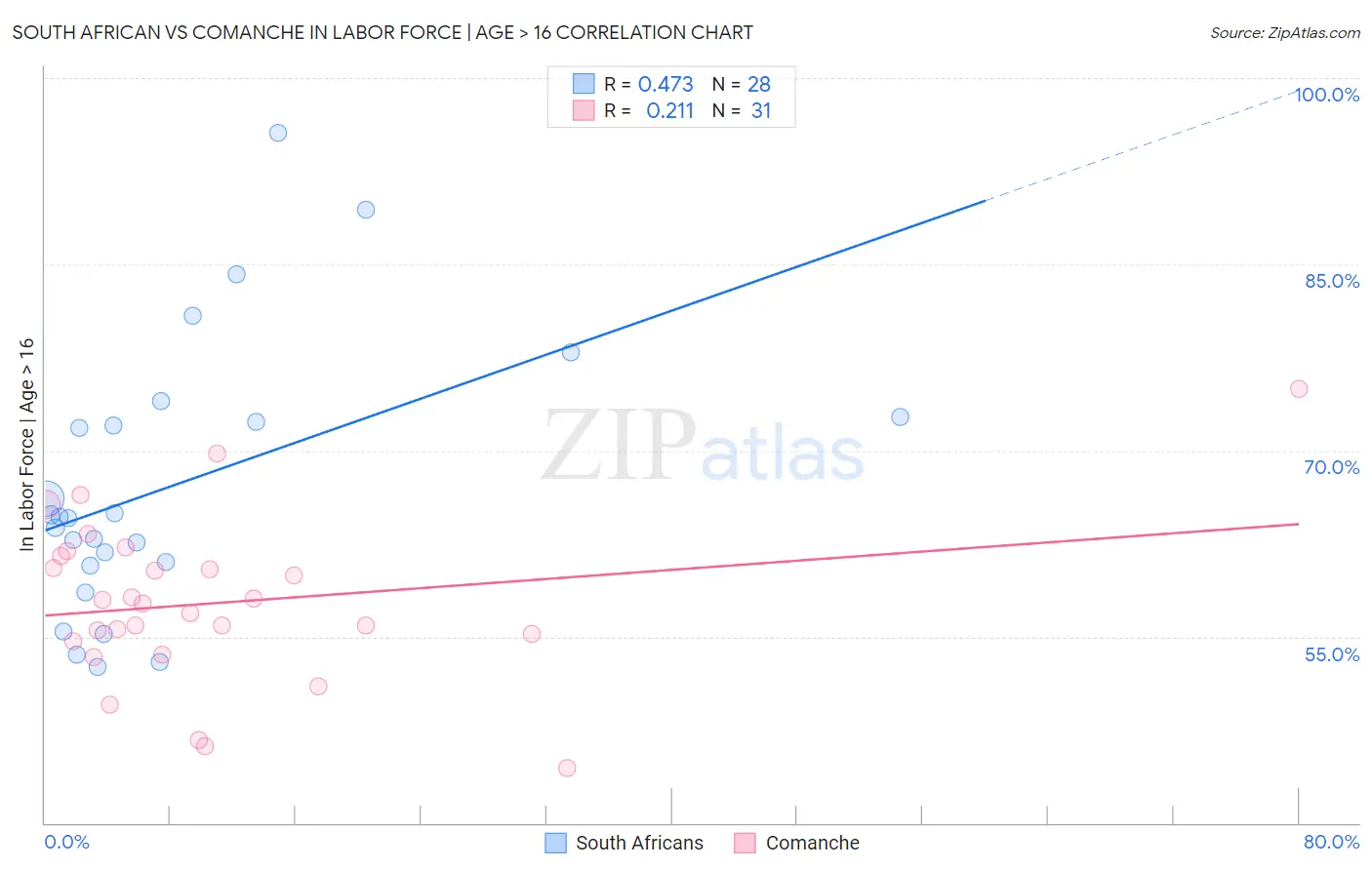 South African vs Comanche In Labor Force | Age > 16