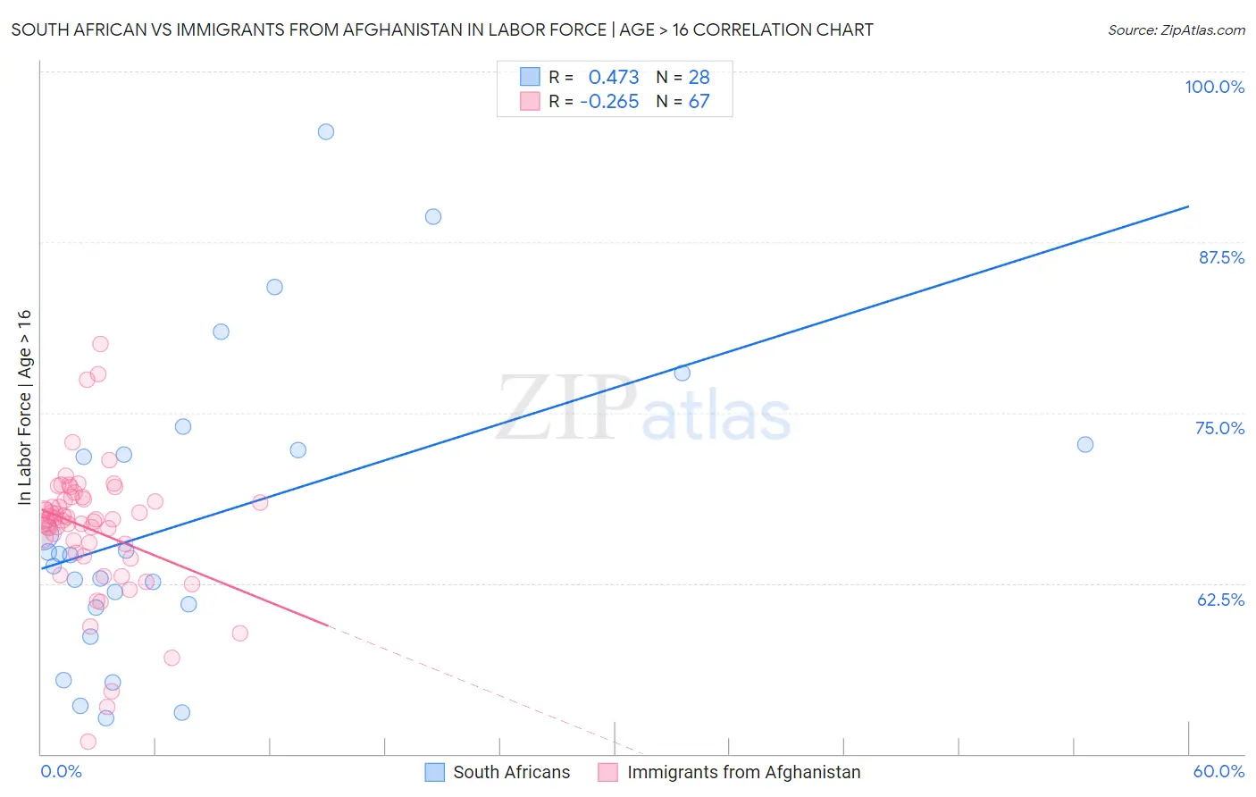 South African vs Immigrants from Afghanistan In Labor Force | Age > 16