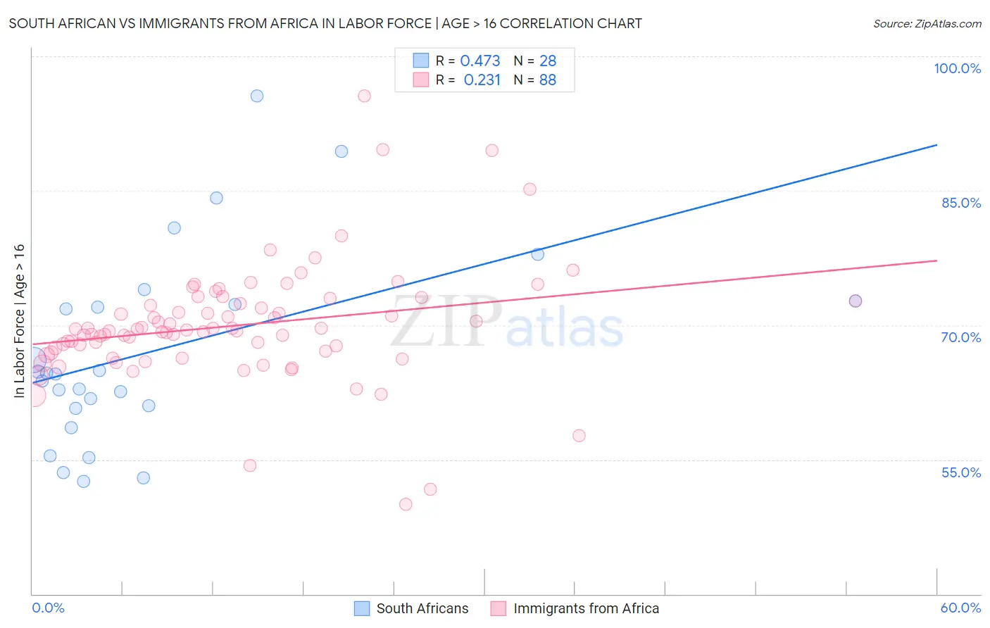 South African vs Immigrants from Africa In Labor Force | Age > 16