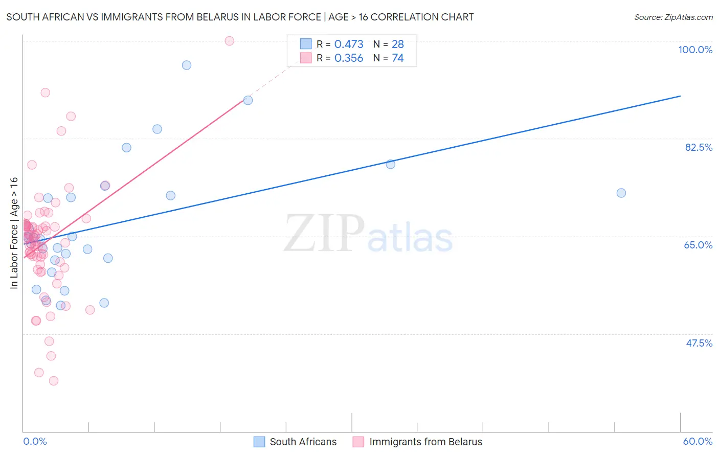 South African vs Immigrants from Belarus In Labor Force | Age > 16