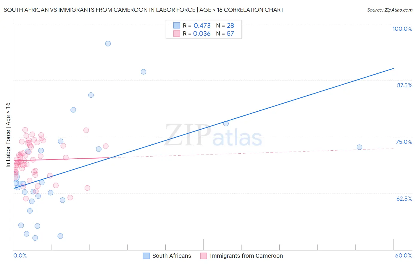 South African vs Immigrants from Cameroon In Labor Force | Age > 16