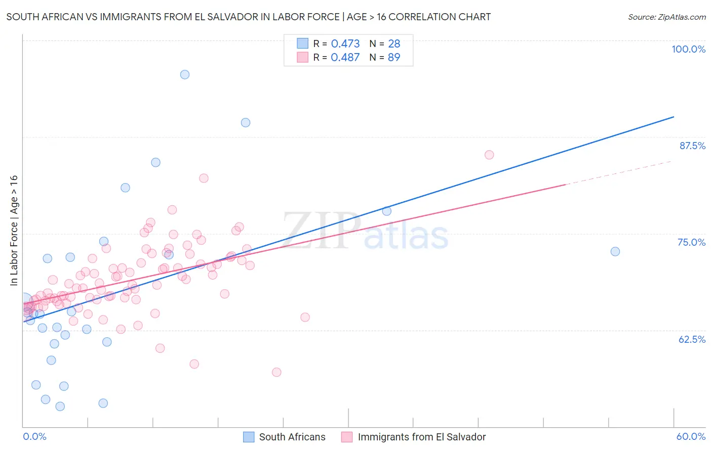 South African vs Immigrants from El Salvador In Labor Force | Age > 16