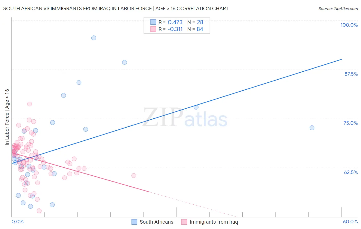 South African vs Immigrants from Iraq In Labor Force | Age > 16