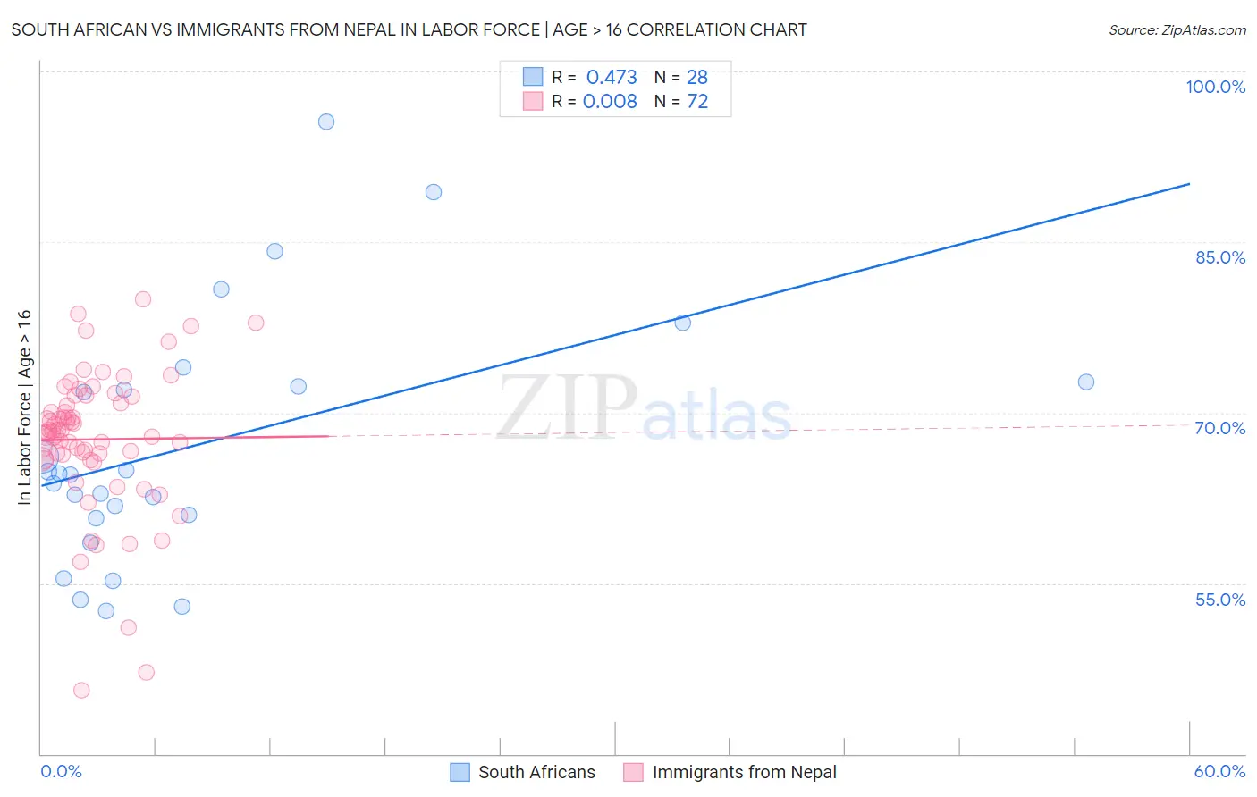 South African vs Immigrants from Nepal In Labor Force | Age > 16