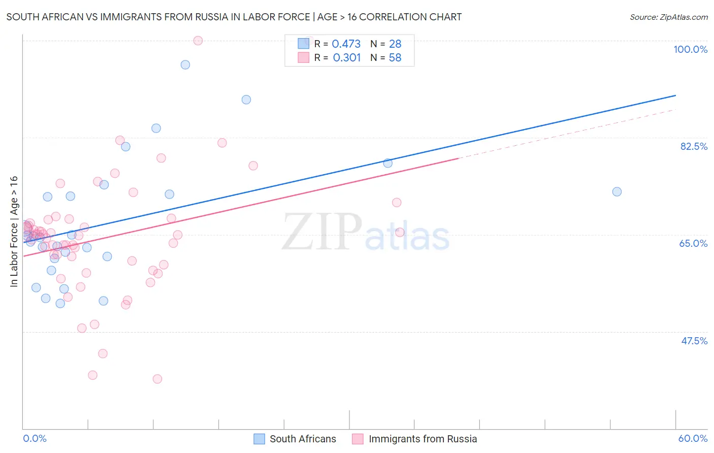 South African vs Immigrants from Russia In Labor Force | Age > 16