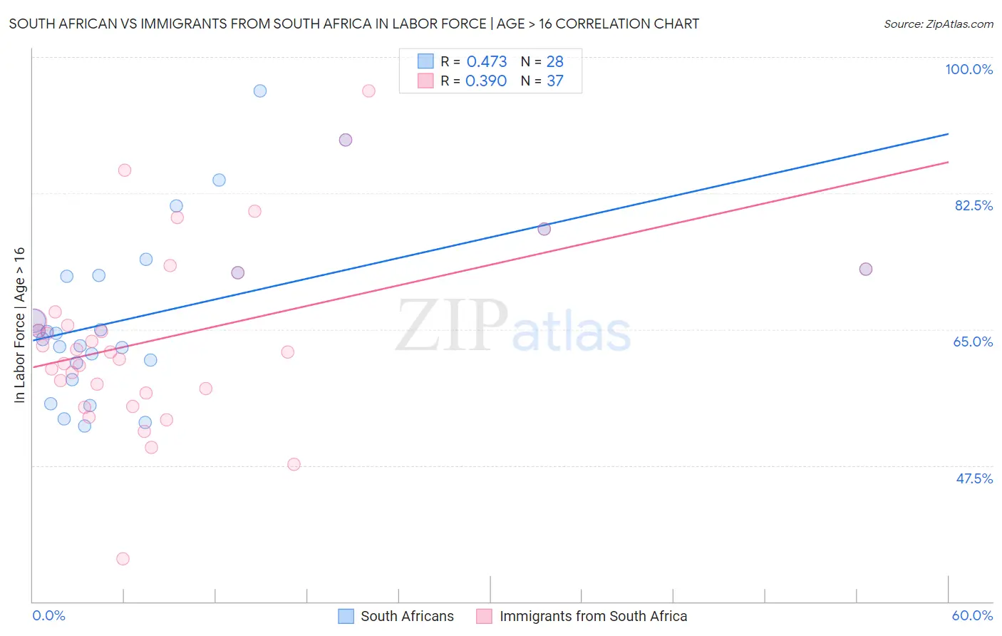 South African vs Immigrants from South Africa In Labor Force | Age > 16