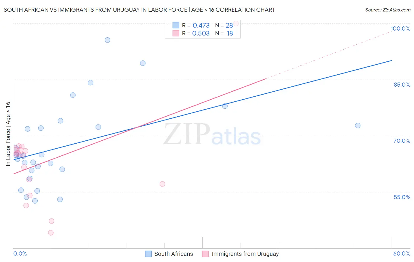 South African vs Immigrants from Uruguay In Labor Force | Age > 16