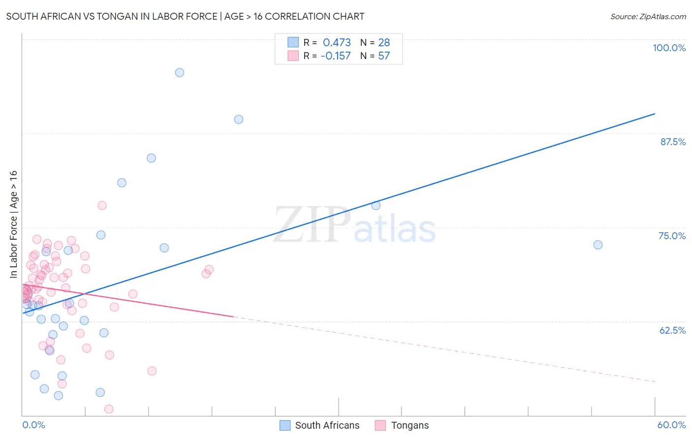 South African vs Tongan In Labor Force | Age > 16