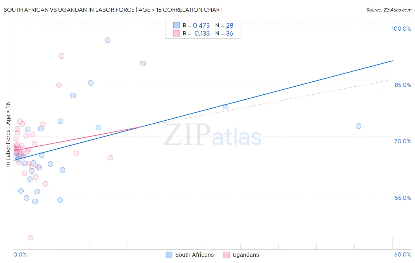 South African vs Ugandan In Labor Force | Age > 16