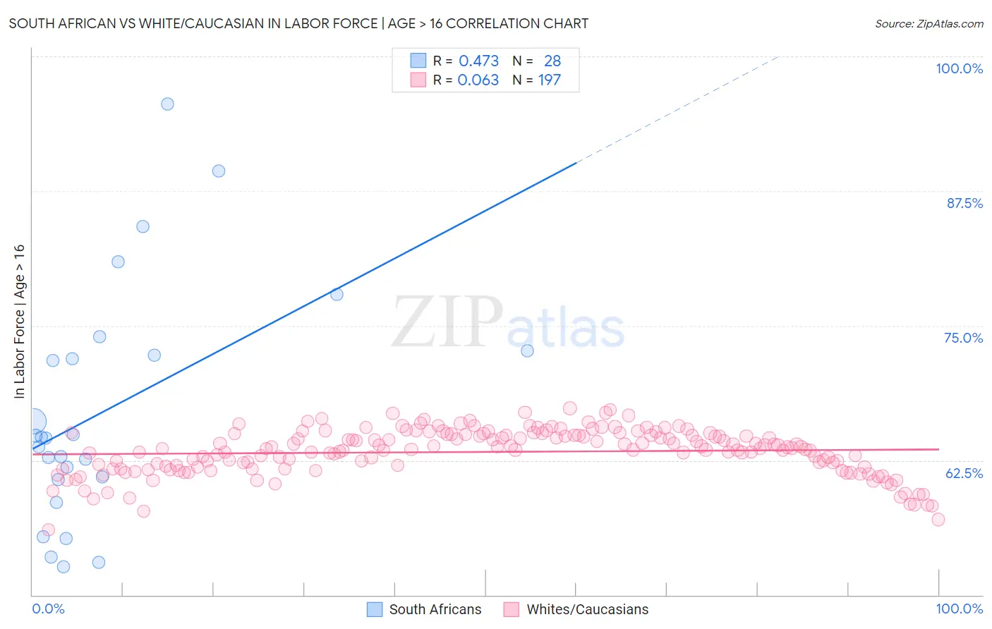 South African vs White/Caucasian In Labor Force | Age > 16