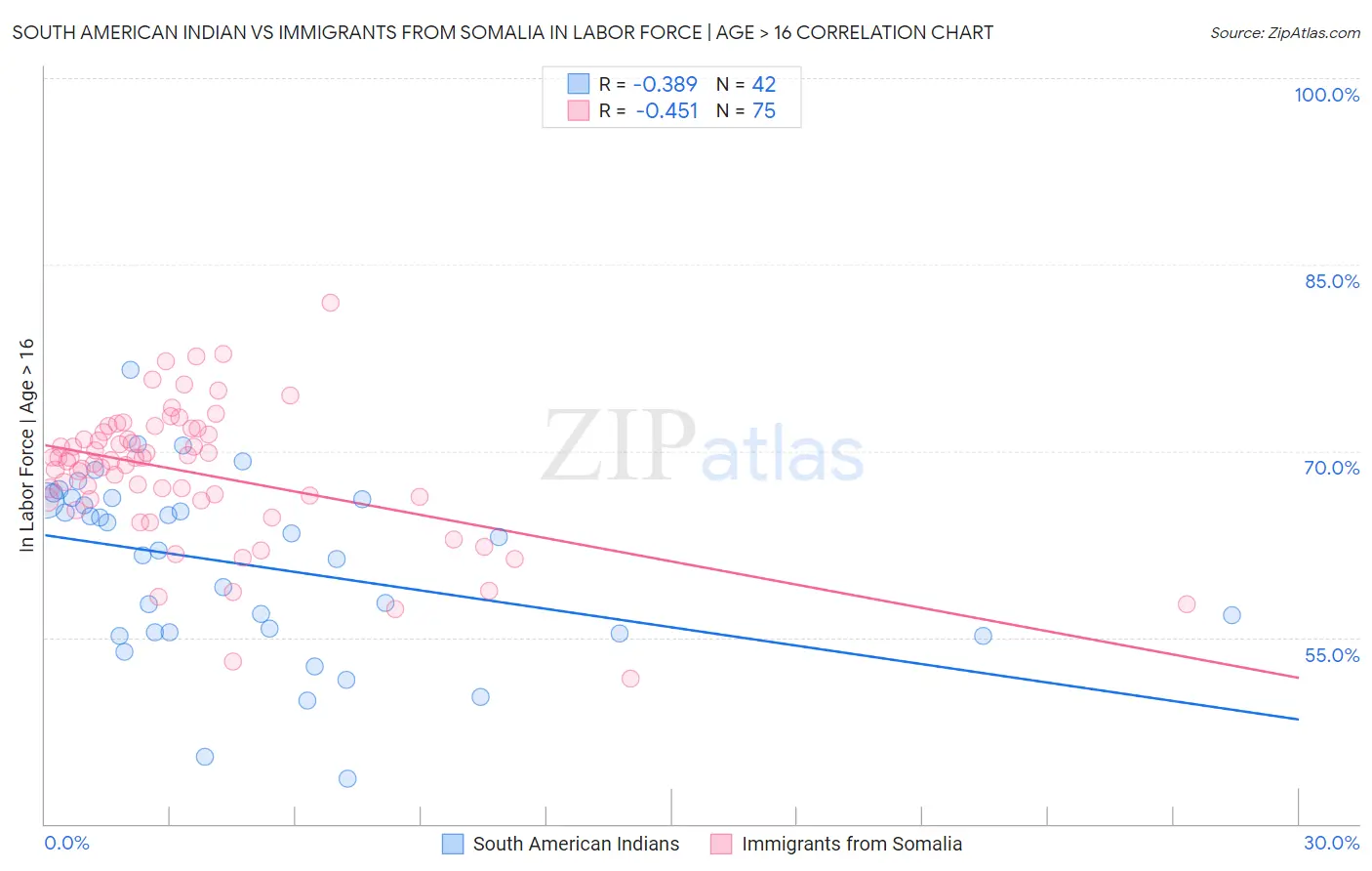 South American Indian vs Immigrants from Somalia In Labor Force | Age > 16