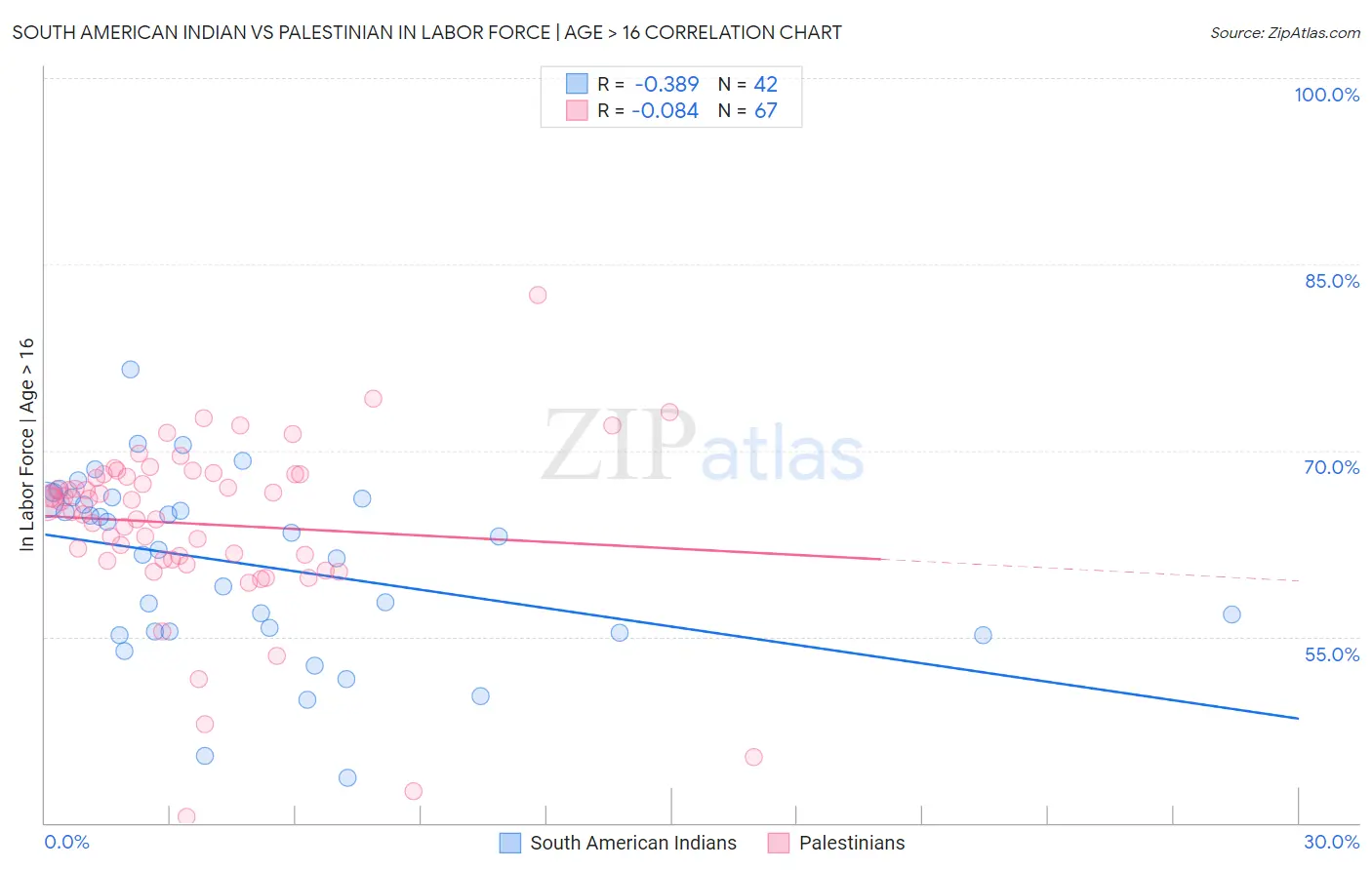 South American Indian vs Palestinian In Labor Force | Age > 16