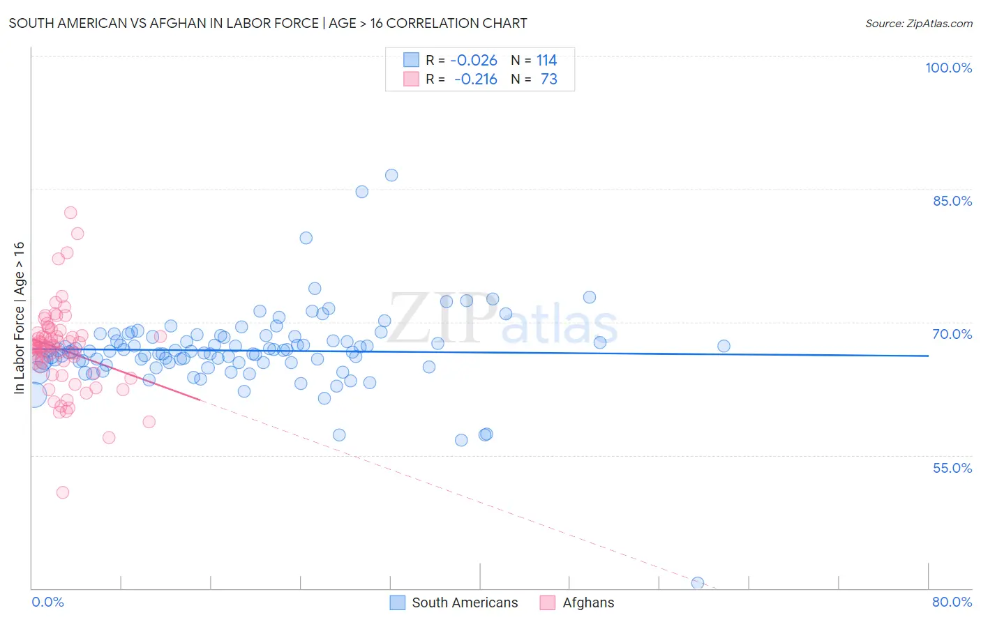 South American vs Afghan In Labor Force | Age > 16