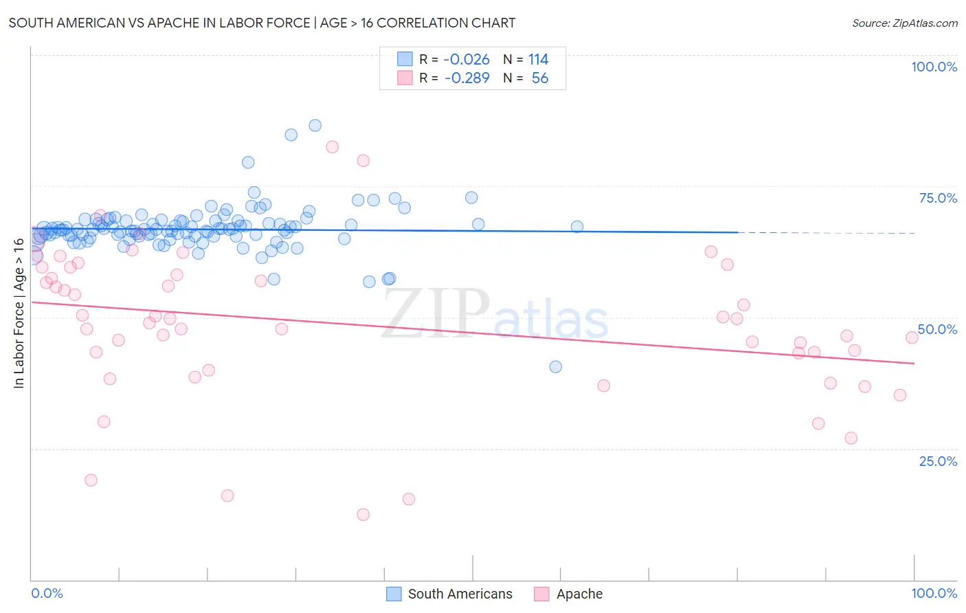 South American vs Apache In Labor Force | Age > 16