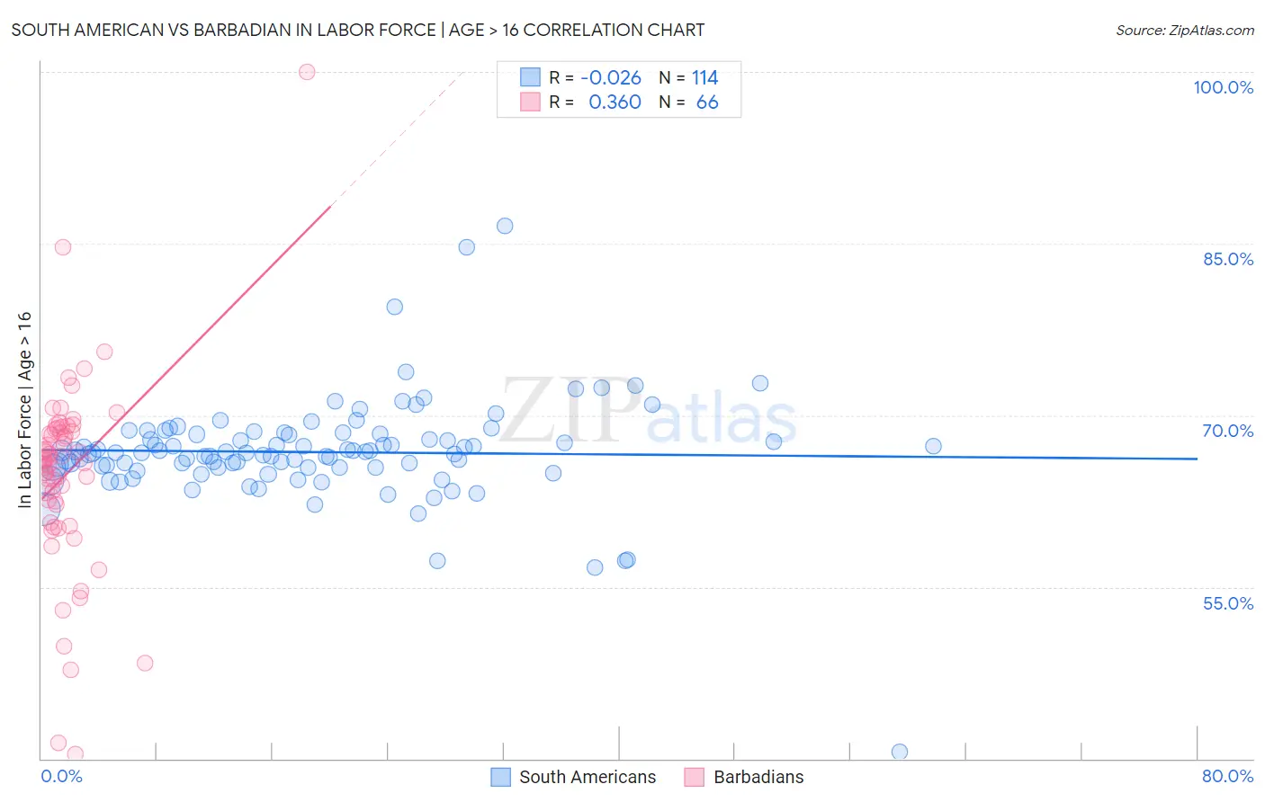 South American vs Barbadian In Labor Force | Age > 16