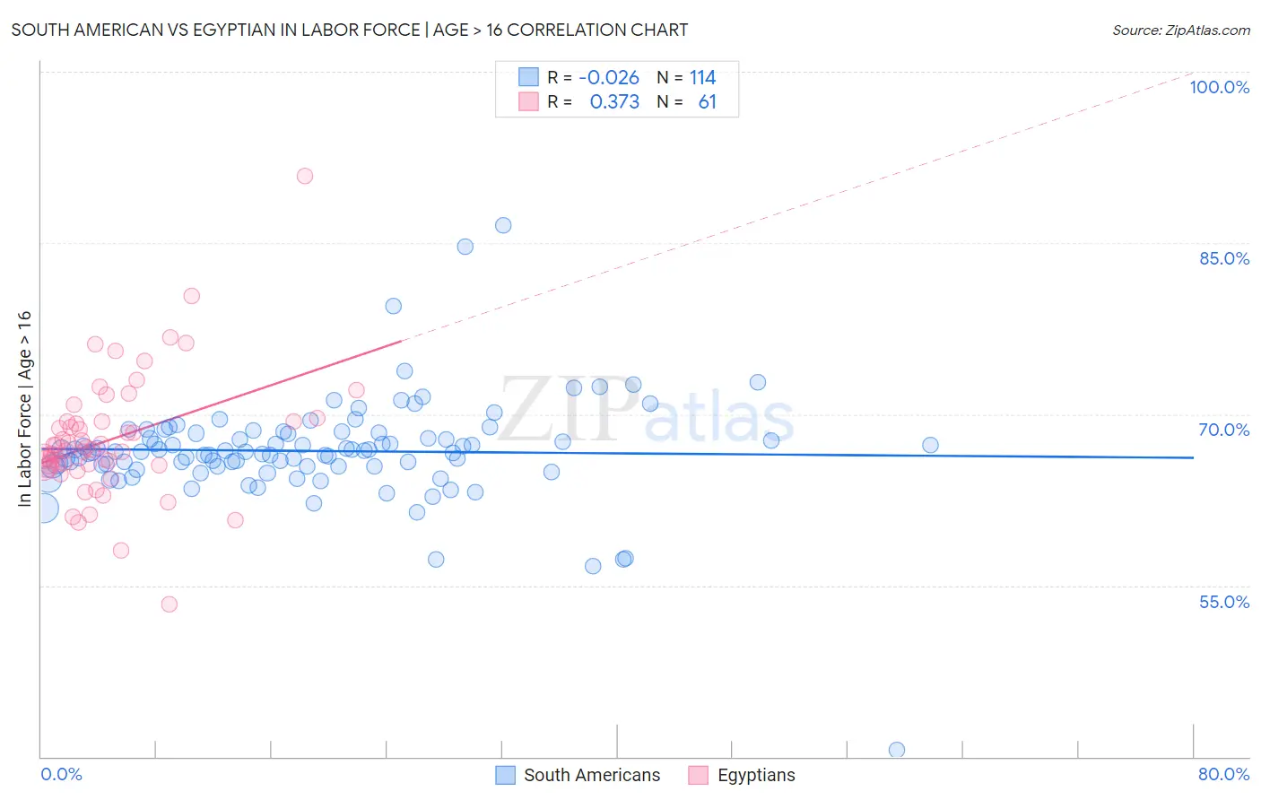 South American vs Egyptian In Labor Force | Age > 16