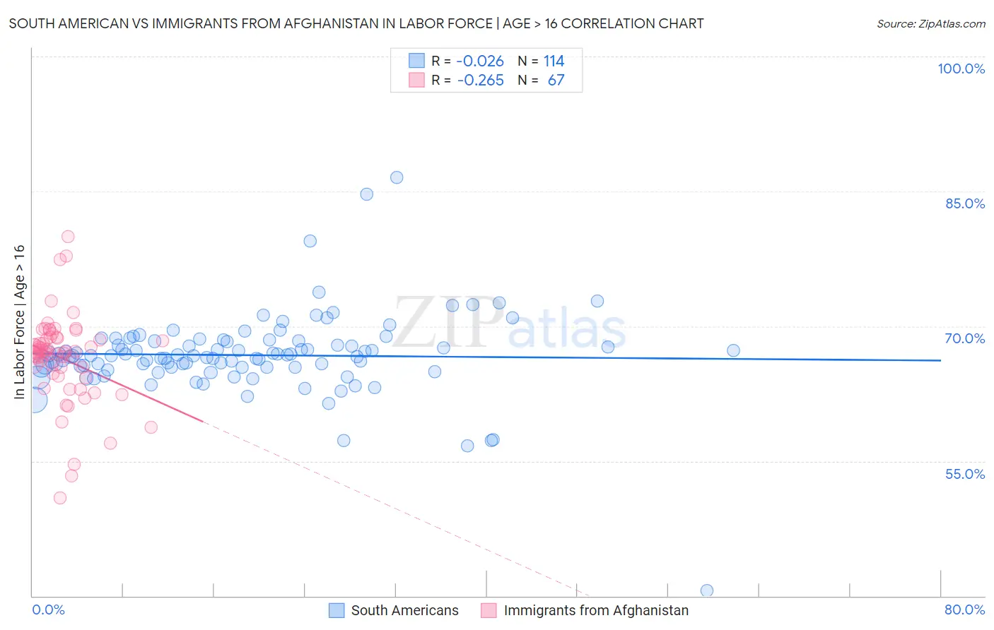 South American vs Immigrants from Afghanistan In Labor Force | Age > 16