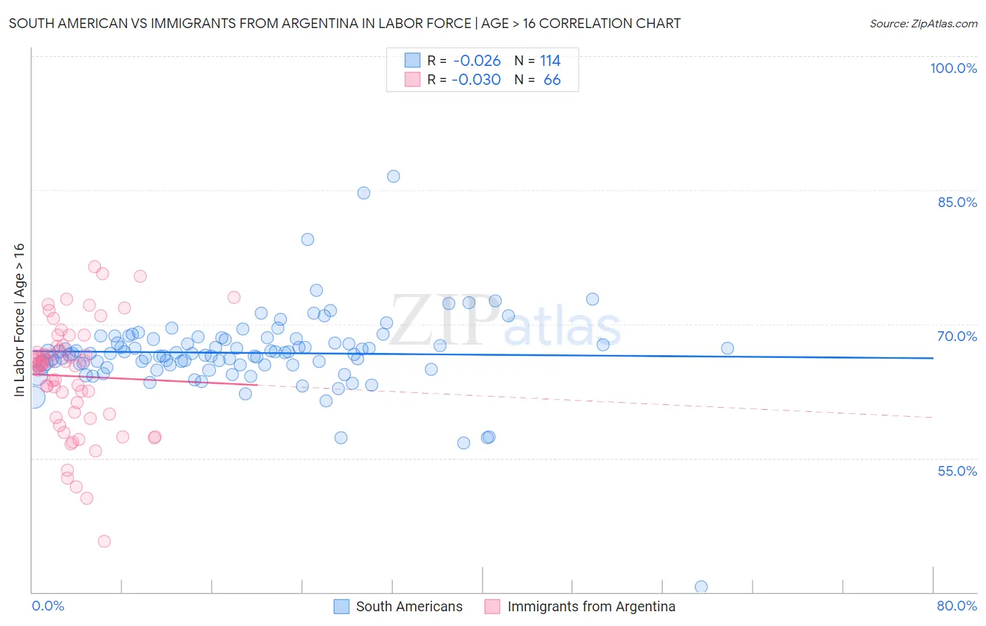 South American vs Immigrants from Argentina In Labor Force | Age > 16