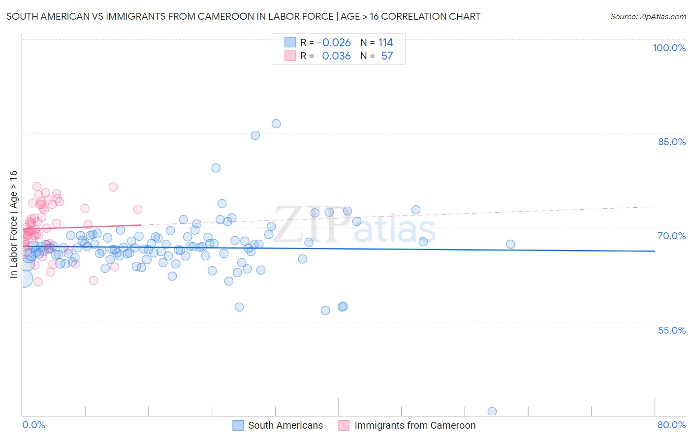 South American vs Immigrants from Cameroon In Labor Force | Age > 16