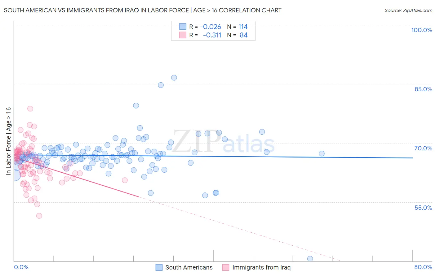 South American vs Immigrants from Iraq In Labor Force | Age > 16