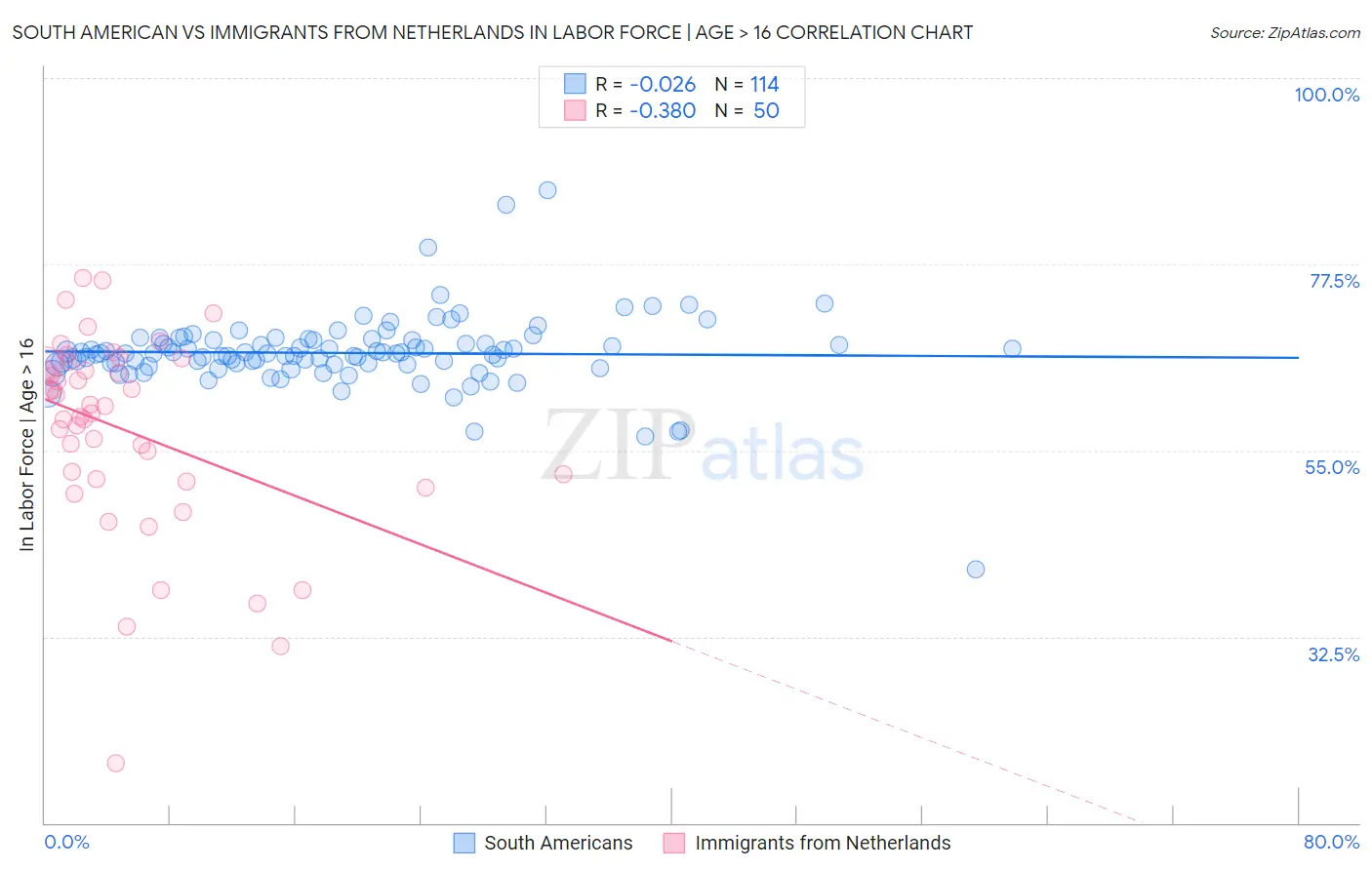 South American vs Immigrants from Netherlands In Labor Force | Age > 16