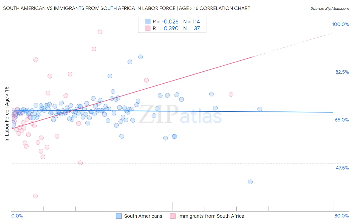 South American vs Immigrants from South Africa In Labor Force | Age > 16
