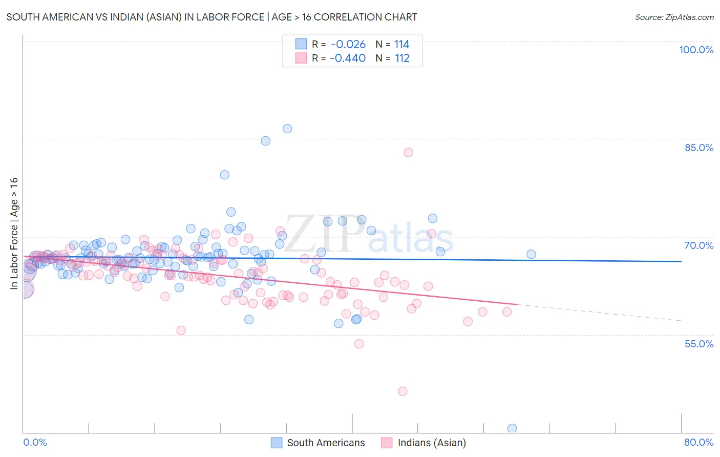 South American vs Indian (Asian) In Labor Force | Age > 16