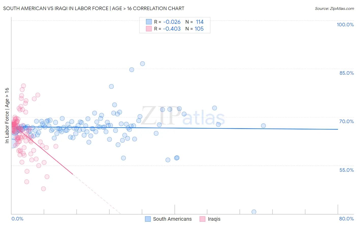 South American vs Iraqi In Labor Force | Age > 16