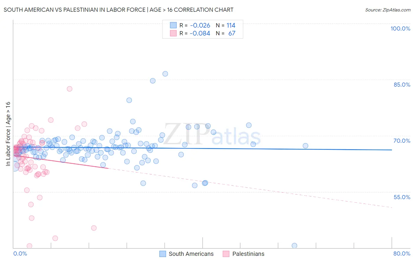 South American vs Palestinian In Labor Force | Age > 16