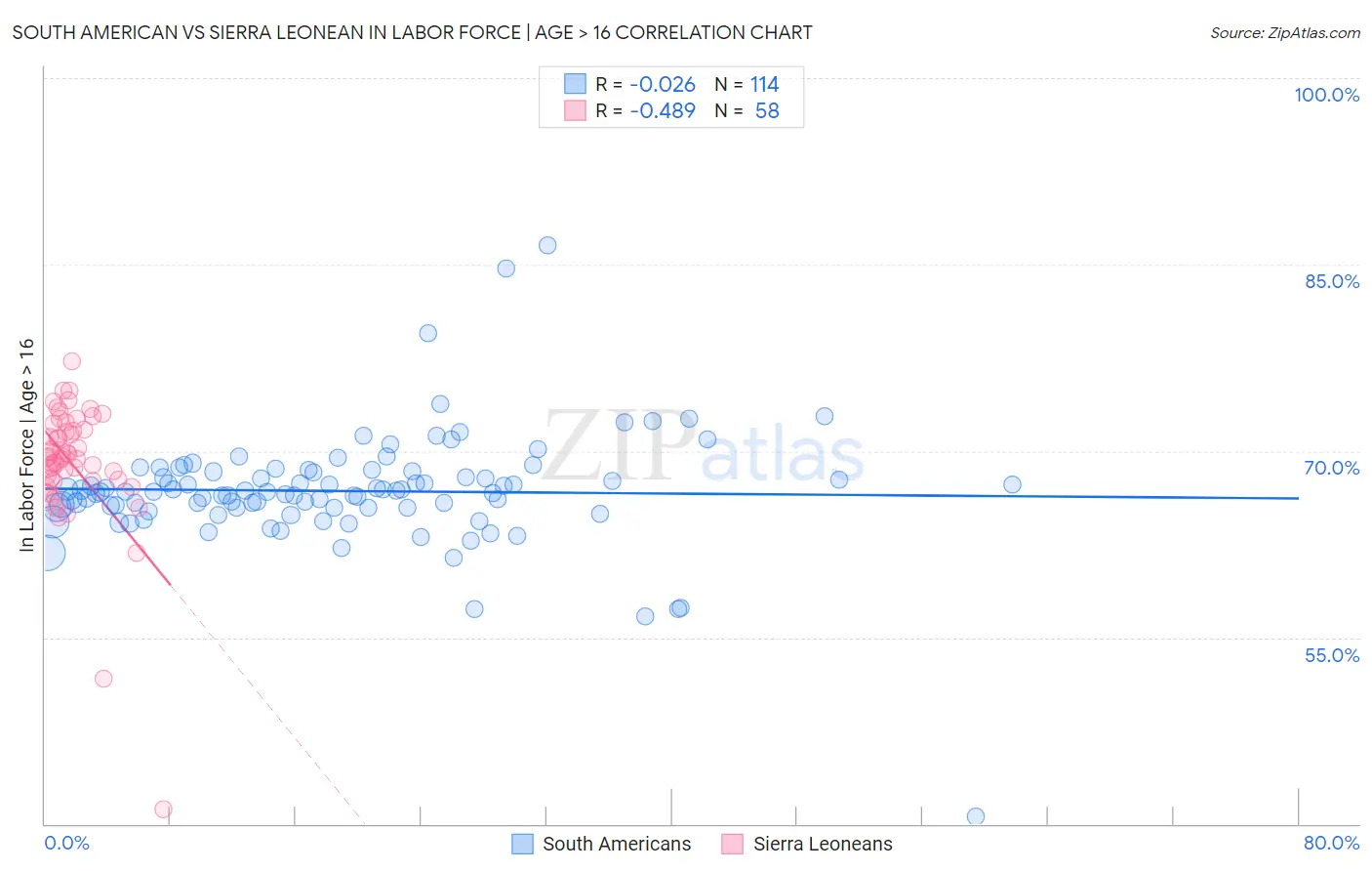 South American vs Sierra Leonean In Labor Force | Age > 16