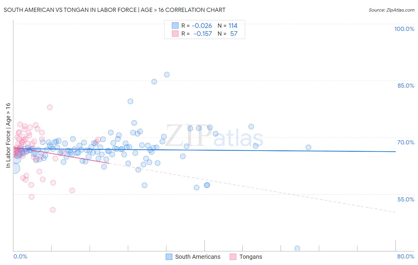 South American vs Tongan In Labor Force | Age > 16