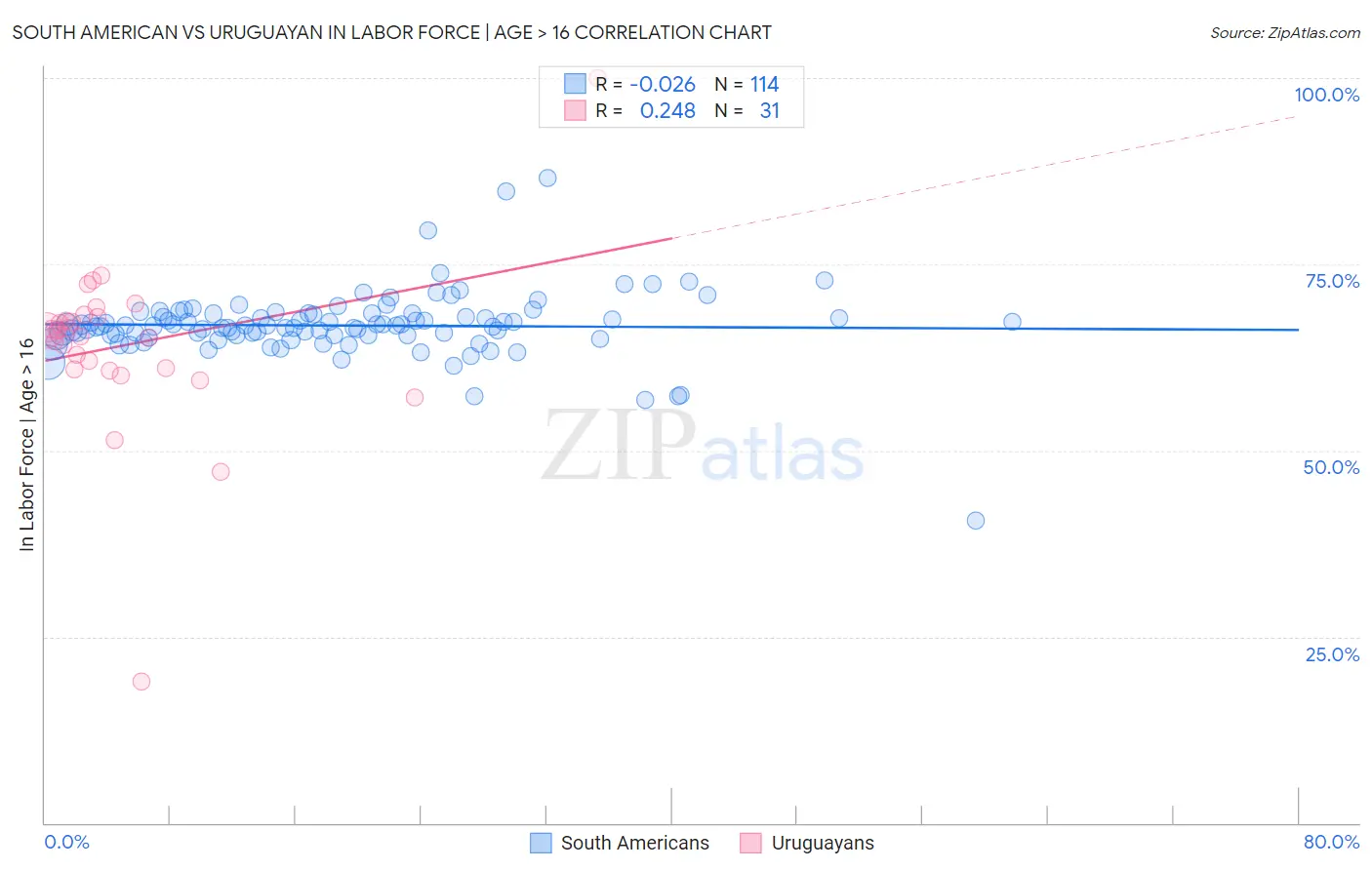 South American vs Uruguayan In Labor Force | Age > 16