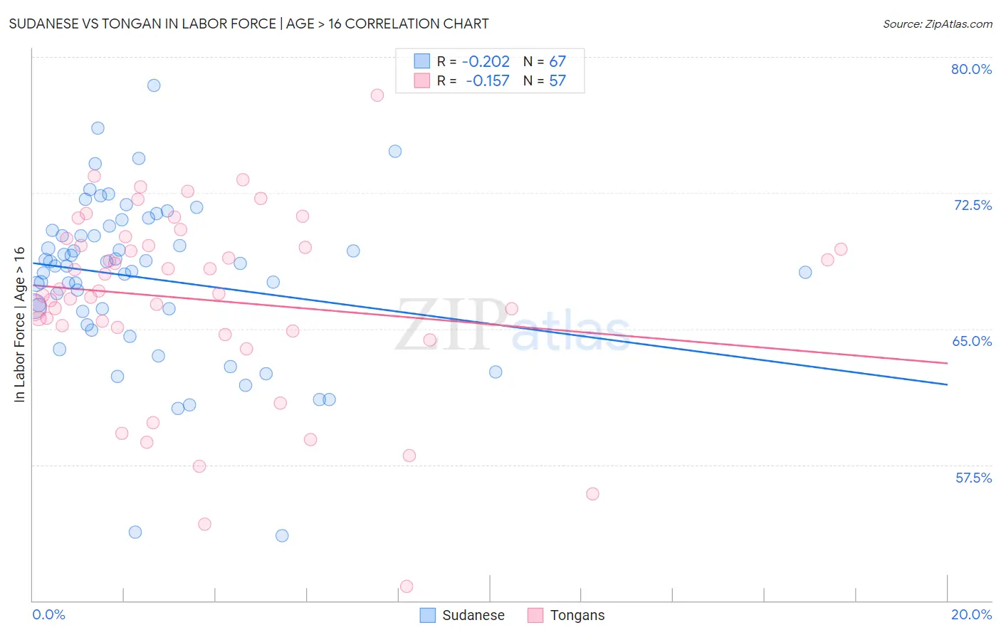 Sudanese vs Tongan In Labor Force | Age > 16