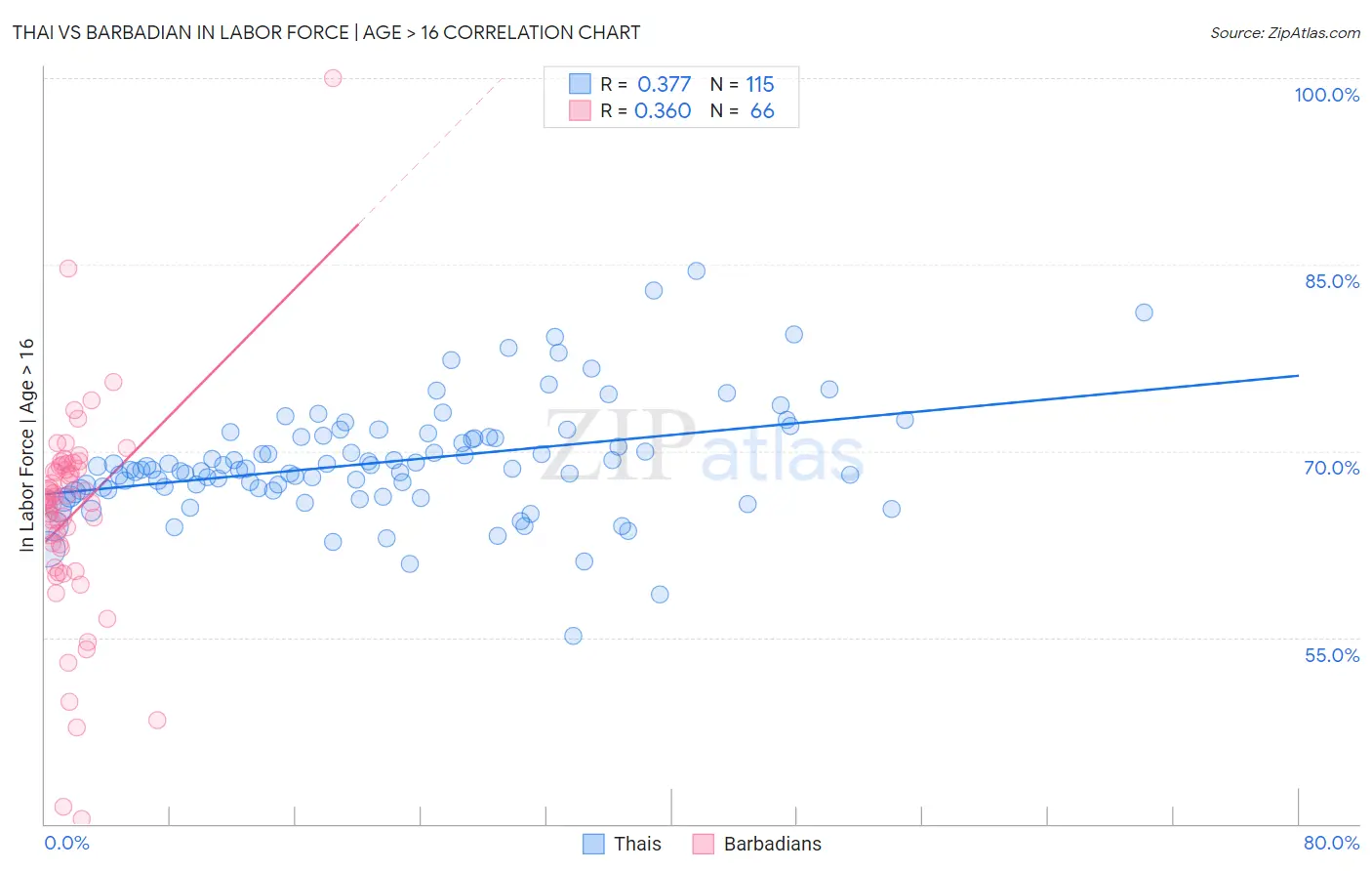 Thai vs Barbadian In Labor Force | Age > 16
