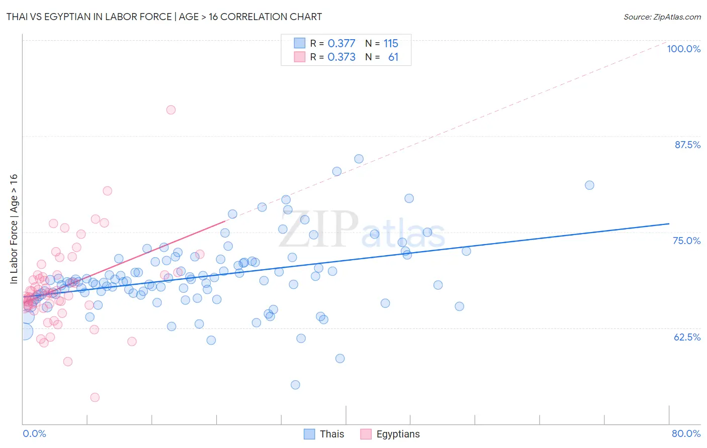 Thai vs Egyptian In Labor Force | Age > 16