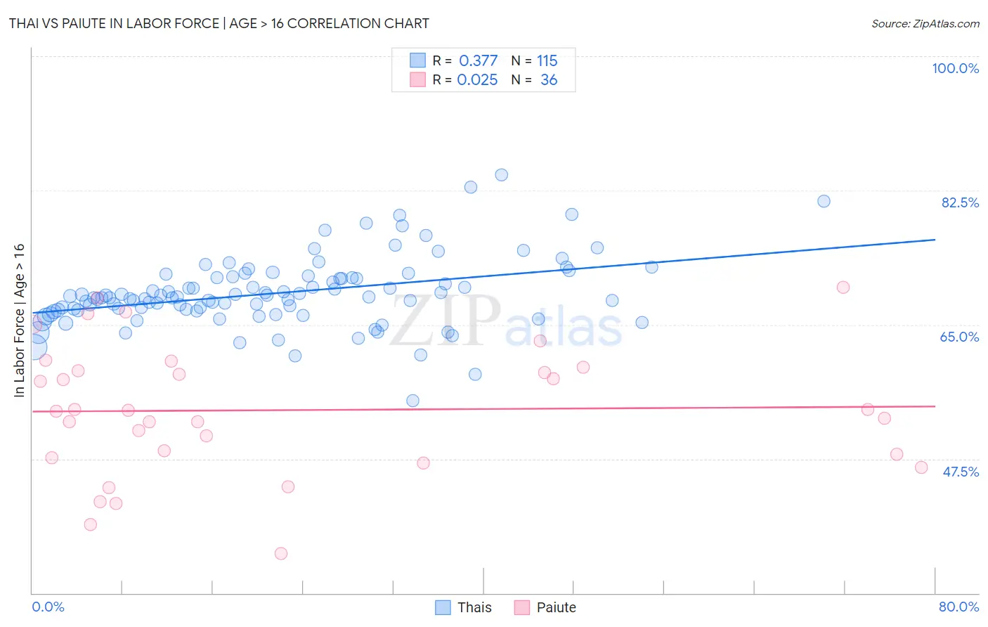 Thai vs Paiute In Labor Force | Age > 16
