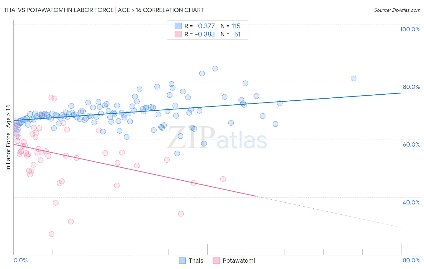 Thai vs Potawatomi In Labor Force | Age > 16