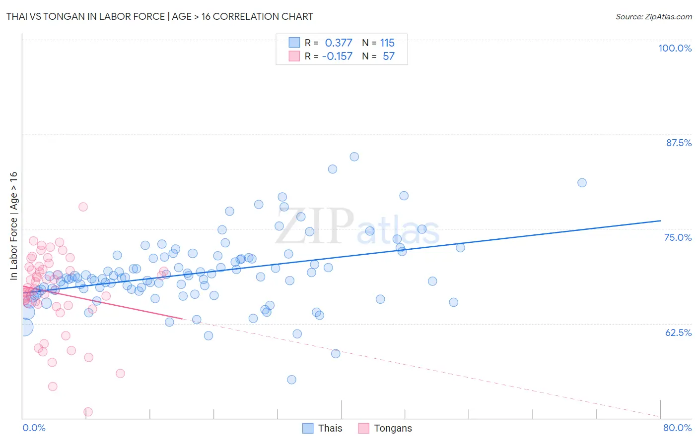 Thai vs Tongan In Labor Force | Age > 16