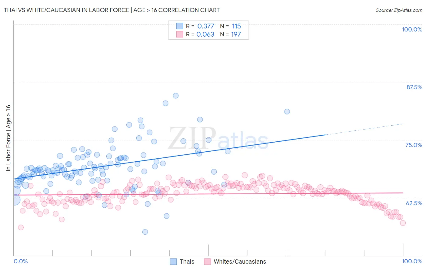 Thai vs White/Caucasian In Labor Force | Age > 16