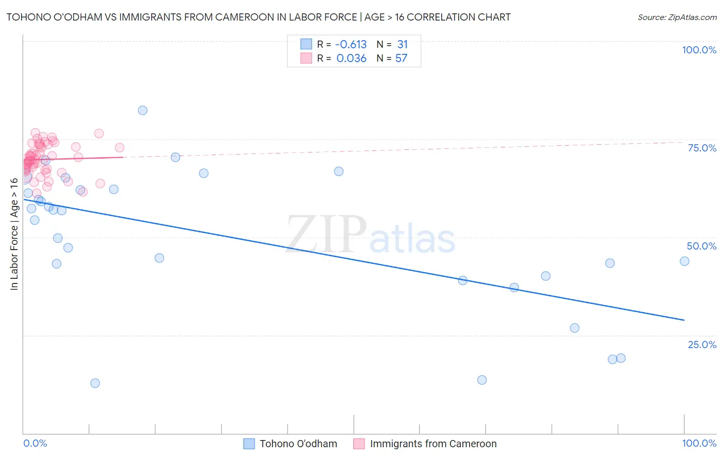 Tohono O'odham vs Immigrants from Cameroon In Labor Force | Age > 16