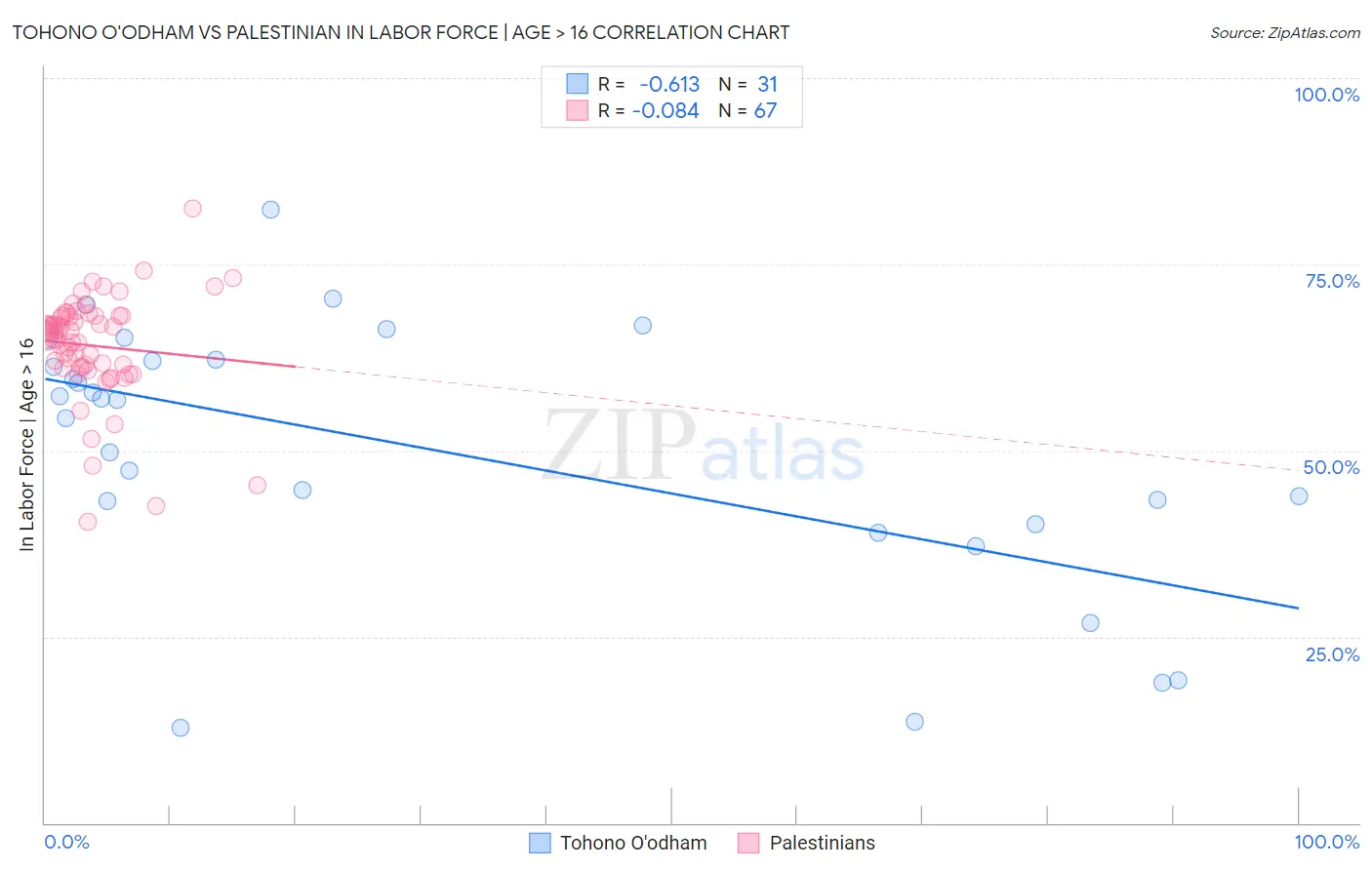 Tohono O'odham vs Palestinian In Labor Force | Age > 16