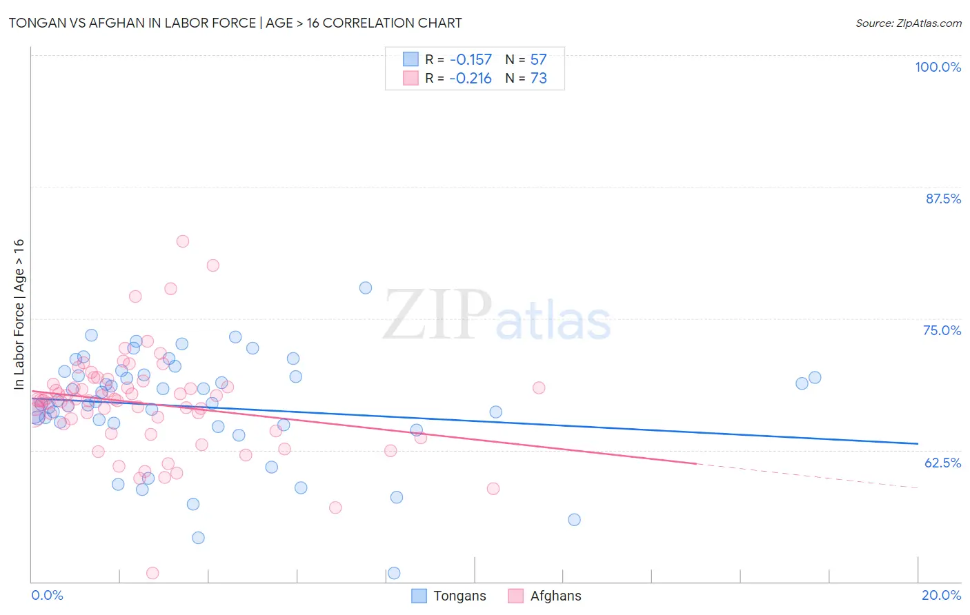 Tongan vs Afghan In Labor Force | Age > 16
